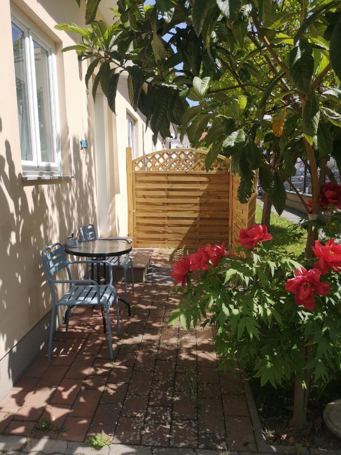 Terrasse Wohnungen Mit Parking In Zentrum Baden Exteriér fotografie