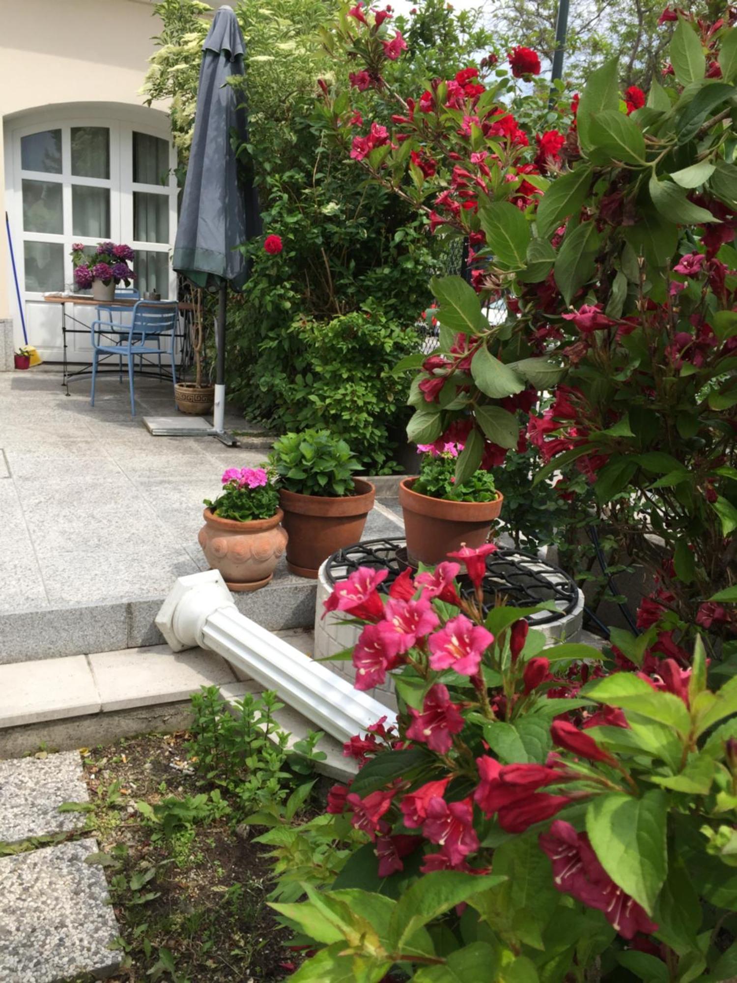 Terrasse Wohnungen Mit Parking In Zentrum Baden Exteriér fotografie